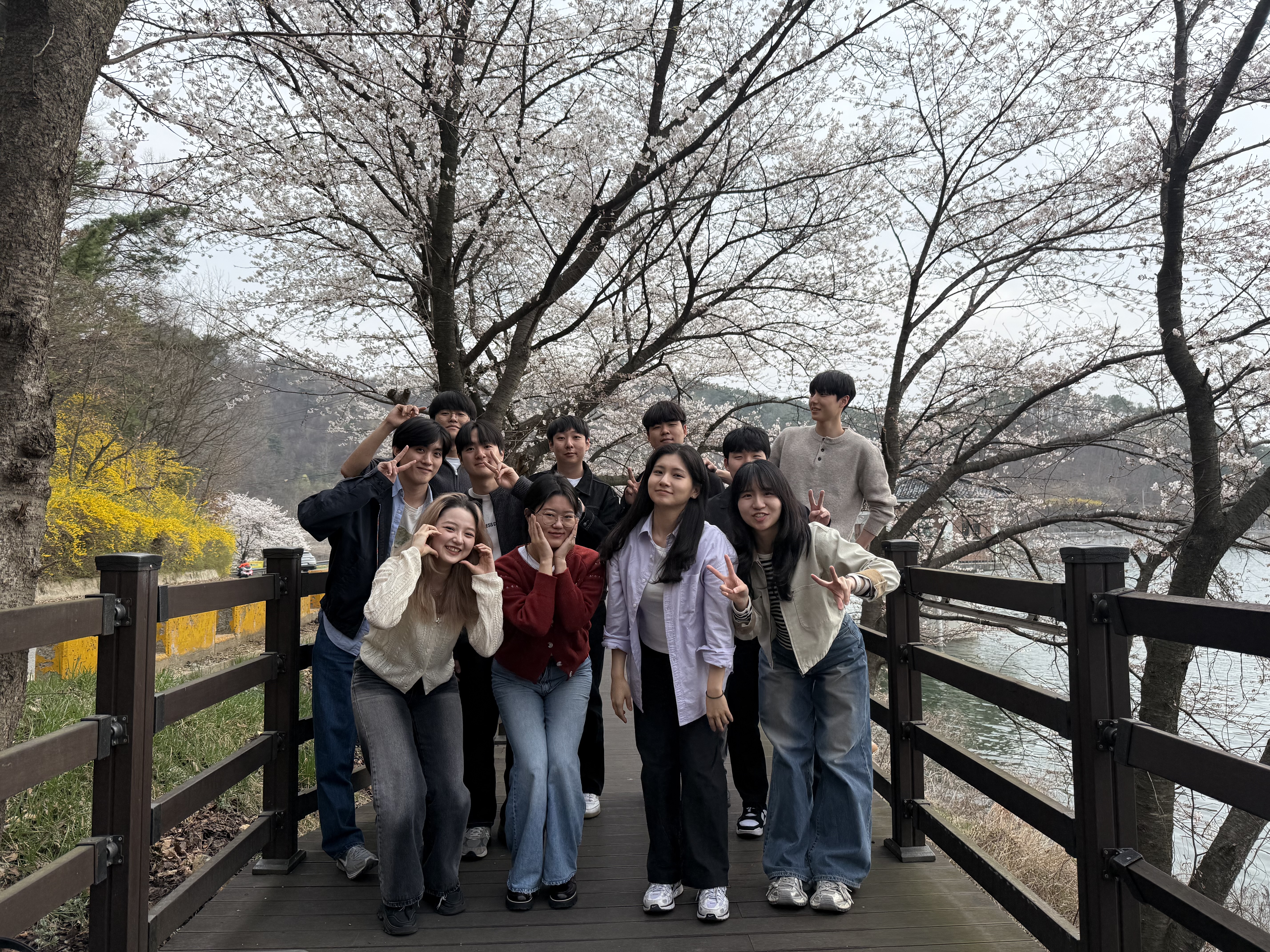 AIVS Lab Group